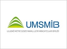 UMSMIB